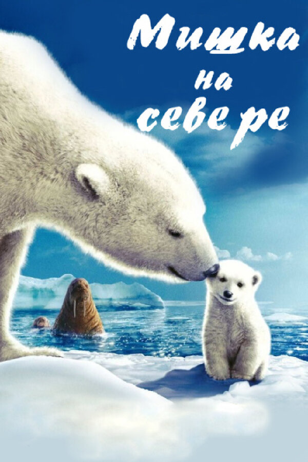  Мишка на Севере 